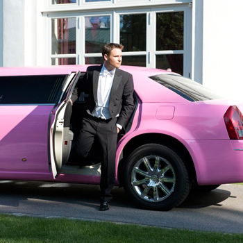 Party Stretchlimousine Rosa